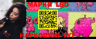 индика Новокубанск
