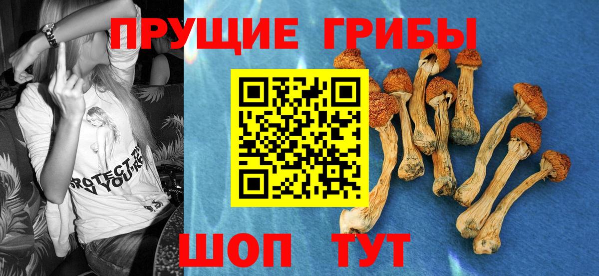 Галлюциногенные грибы мицелий  Галлюциногенные грибы GOLDEN TEACHER  Вход с VPN  Верхний Уфалей 