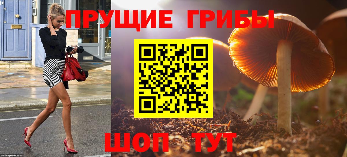 Псилоцибиновые грибы MAGIC MUSHROOMS Верхний Уфалей
